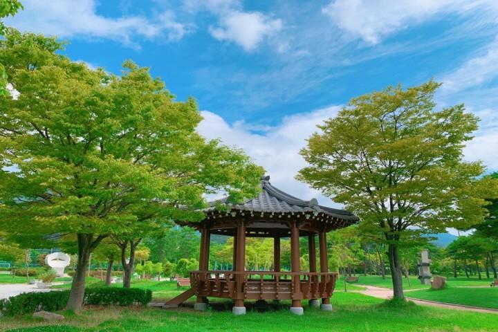 대표 사진