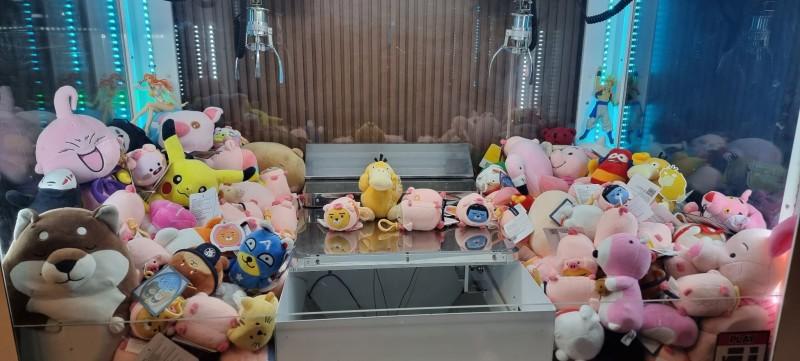 대표 사진