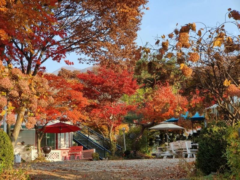 Gapyeong Flower Muji Pension (near the valley)-40