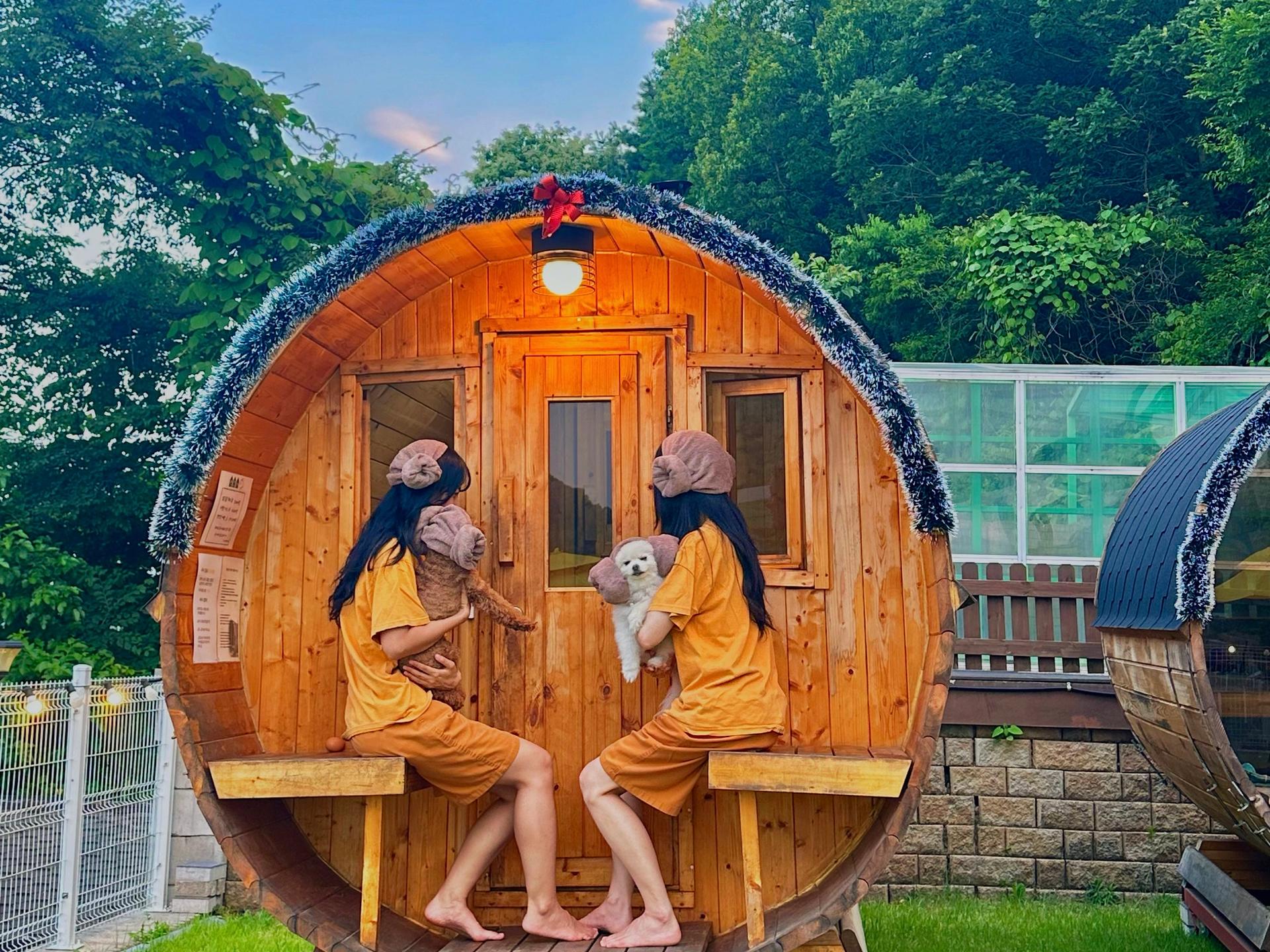 대표 사진