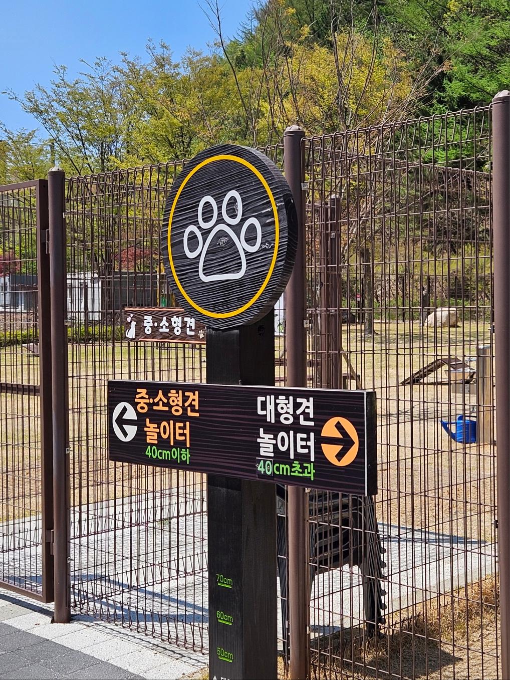 대표 사진