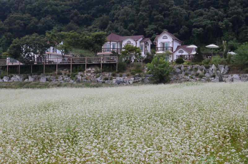 숙소 시설