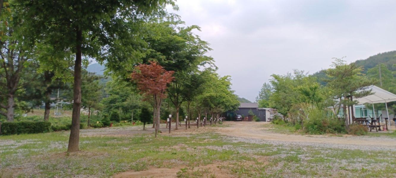 Hwacheon Dahee Pension Camping