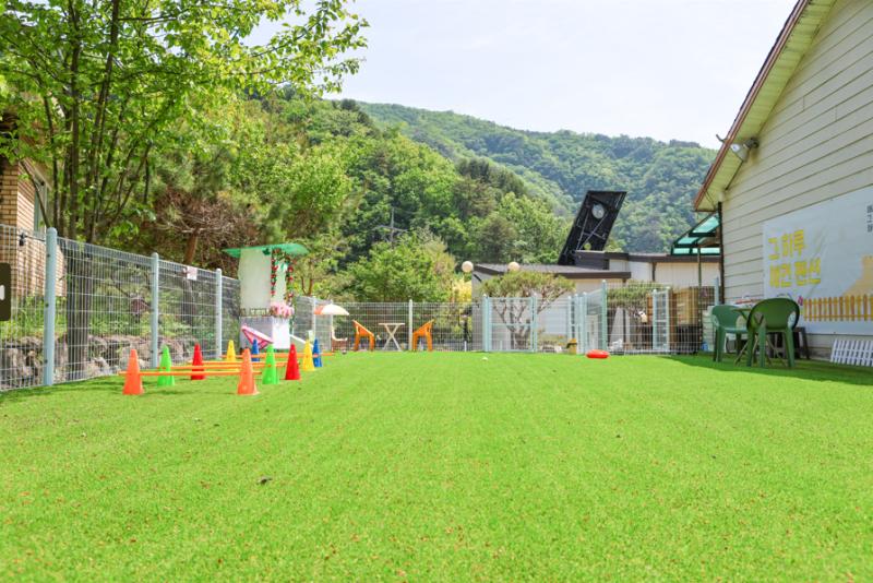 Gapyeong Geuharu Dog Pension