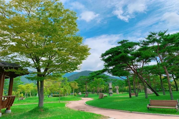 대표 사진