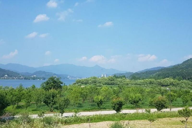 Yangpyeong Adonis Pension-10