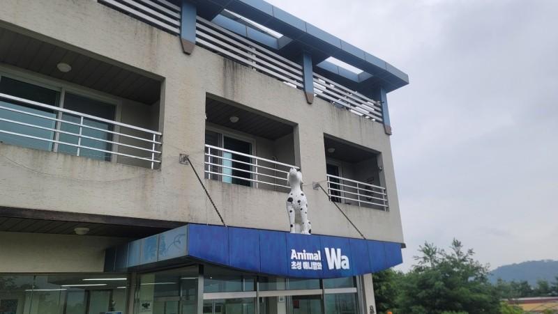 Yeoncheon Choseong Animal and Pension-17