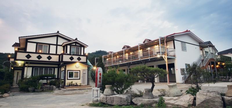 대표 사진