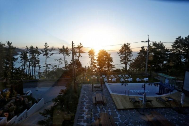 대표 사진