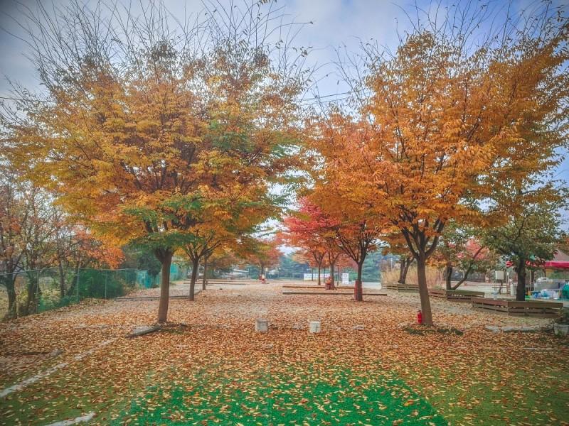 대표 사진