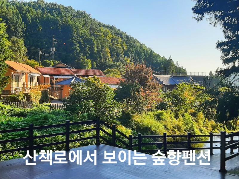 대표 사진