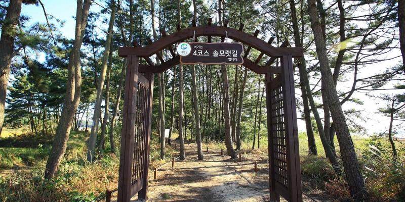대표 사진