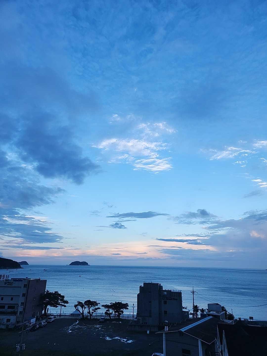 대표 사진