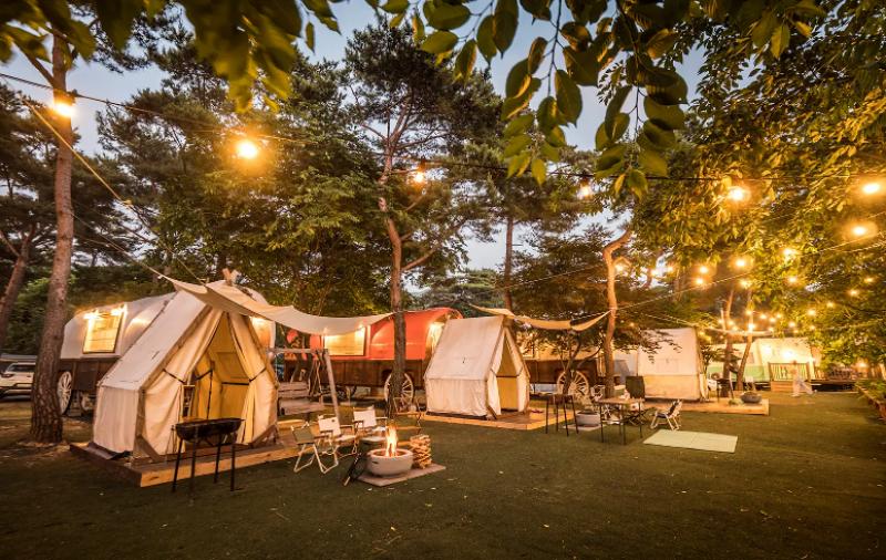Pocheon Pine Tree Glamping Poolvilla