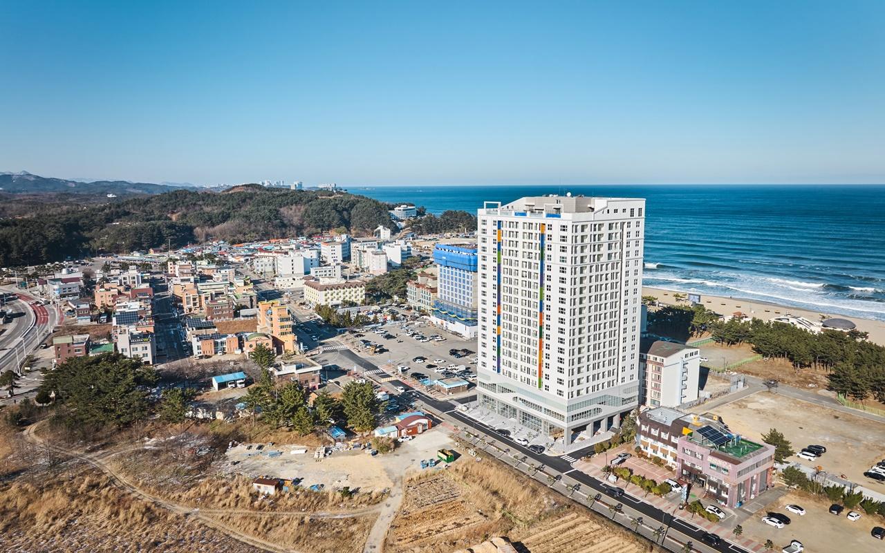 대표 사진