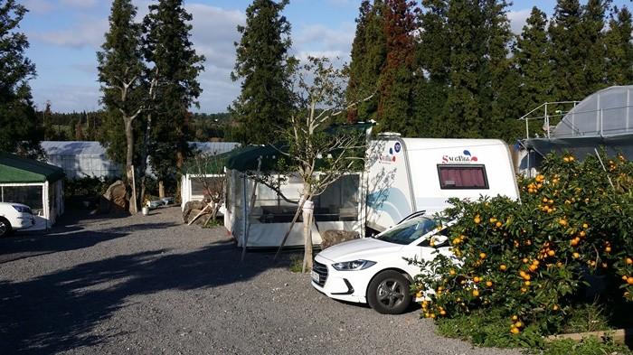 Seogwipo Poping Jeju Caravan
