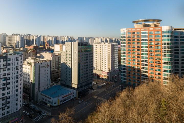 대표 사진
