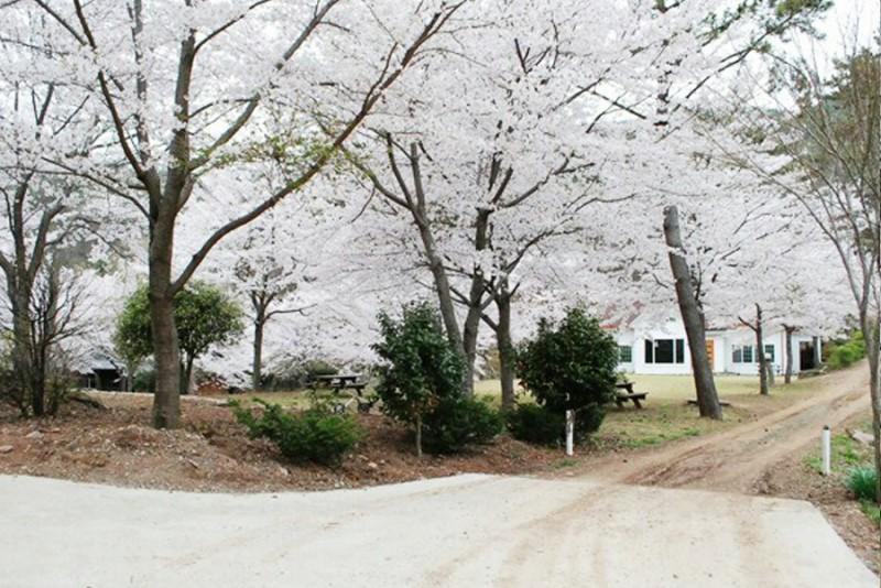 숙소 시설