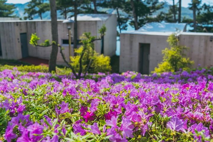 대표 사진
