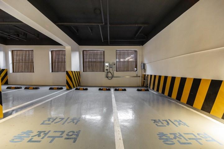 대표 사진
