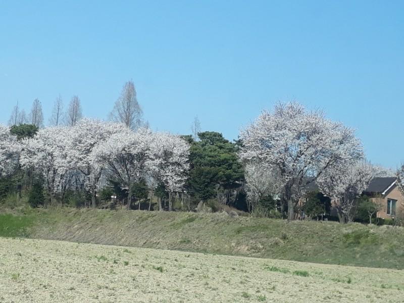 숙소 시설