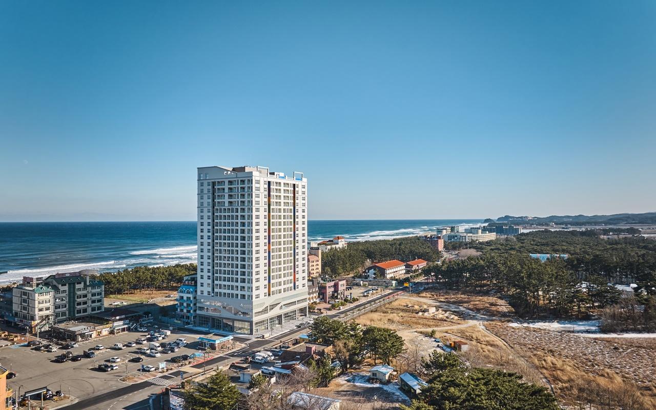 대표 사진