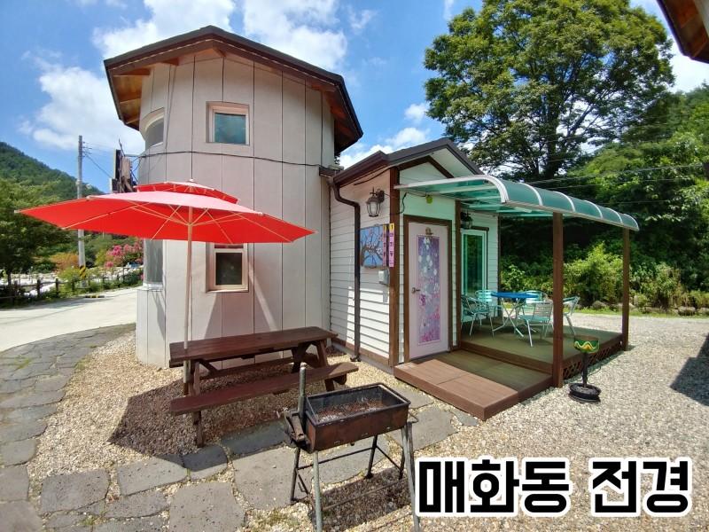 대표 사진