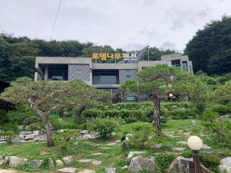 대표 사진