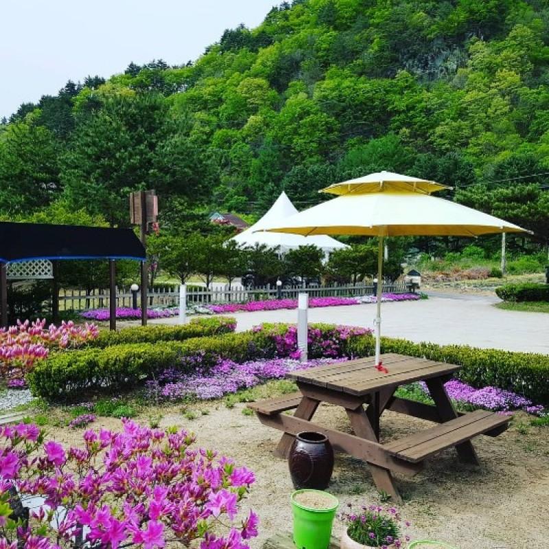 대표 사진