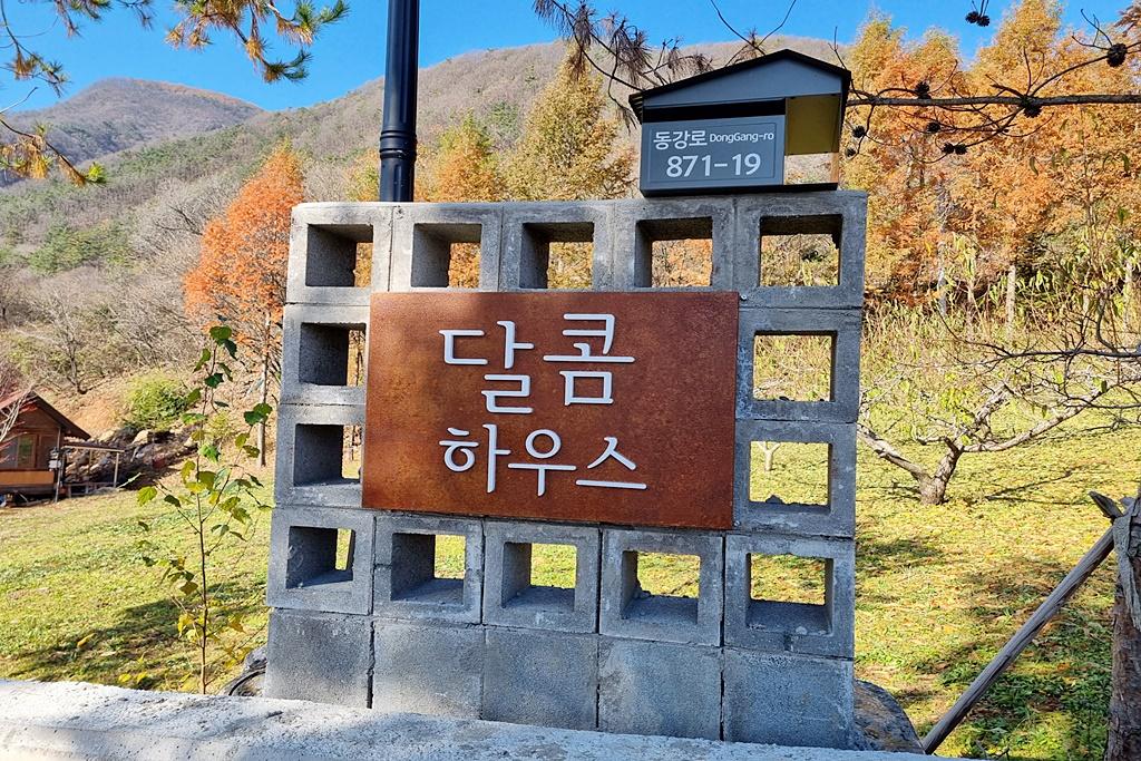 기타