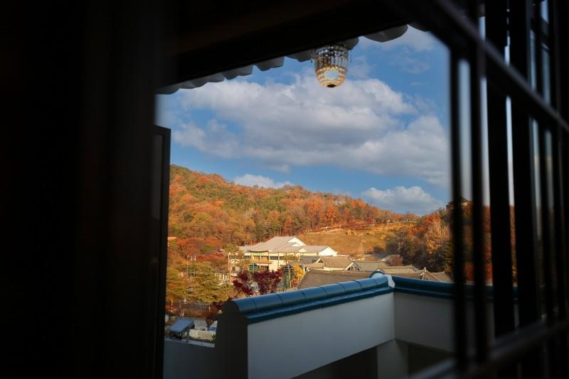 대표 사진