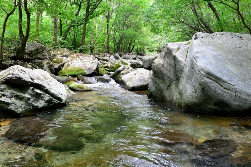 Gapyeong Lavender Pension-30