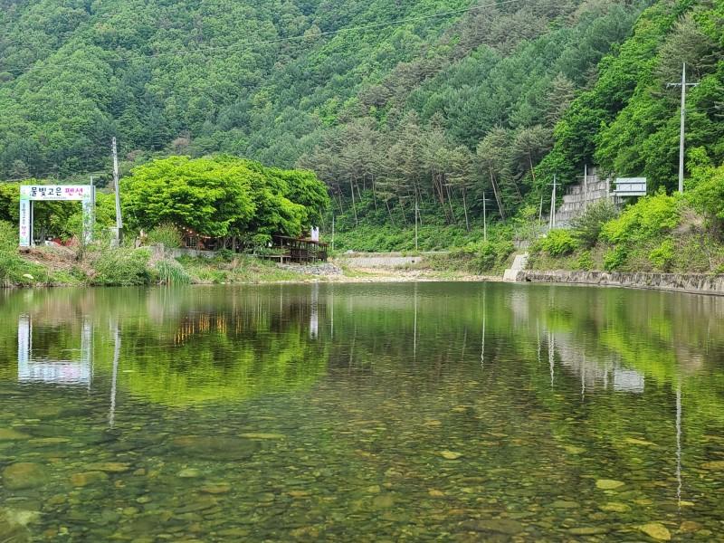 대표 사진