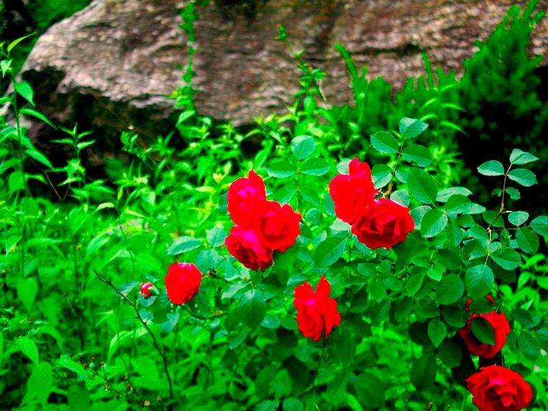 Gapyeong Purun Valley Pension-80