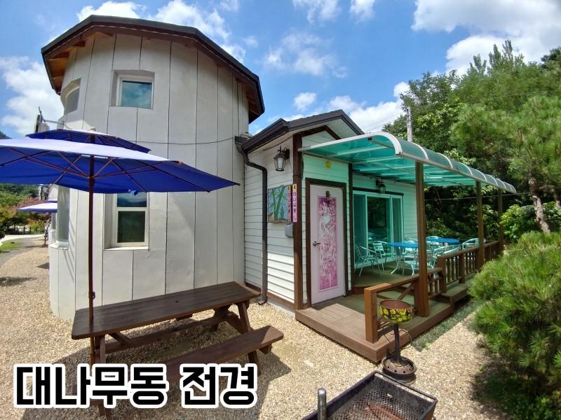 대표 사진