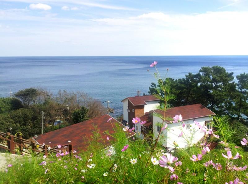 Yeongdeok Pine Pension