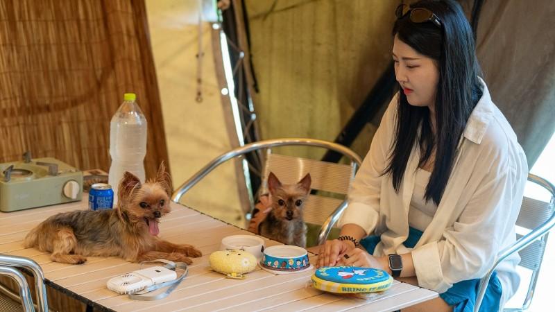 숙소 시설