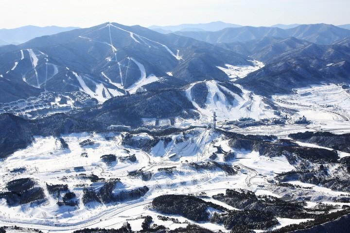 대표 사진
