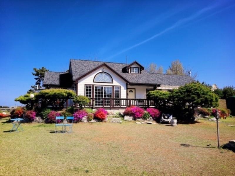 Daebudo Bohemian Blue Pension-5