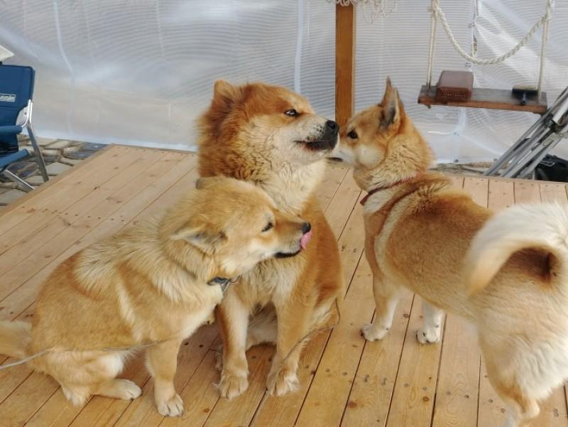 숙소 시설