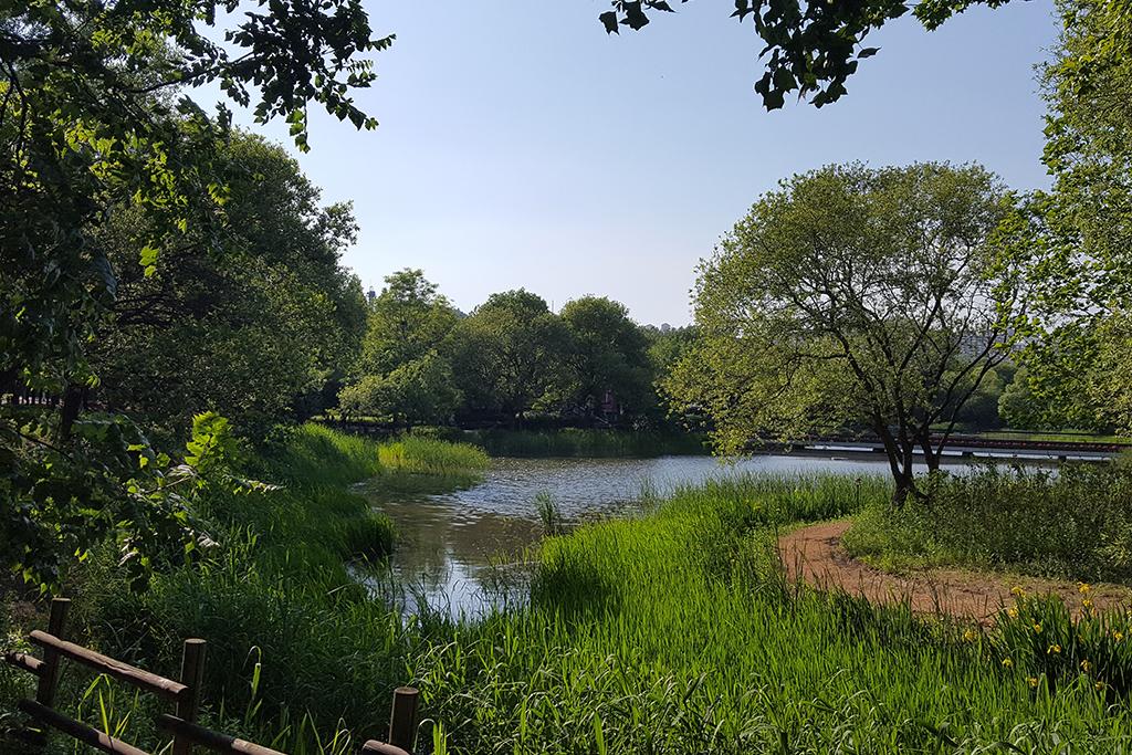 Seoul Forest Stay-81