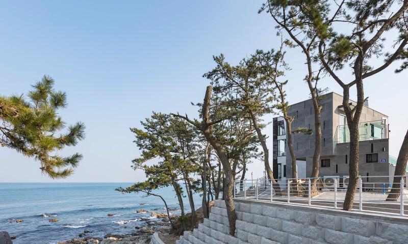 대표 사진