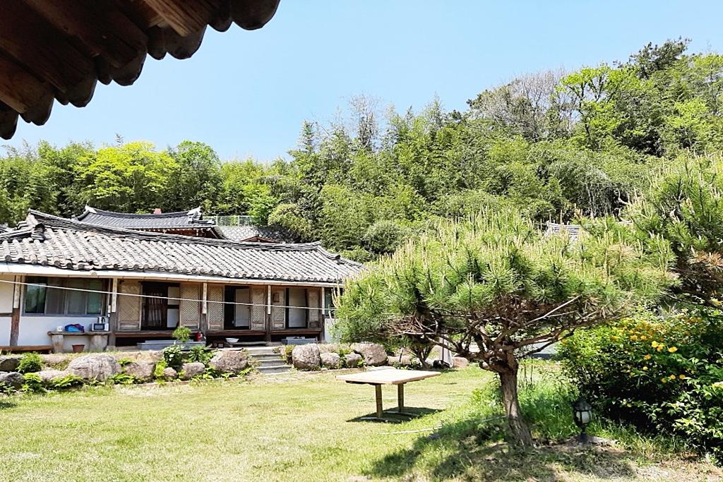 대표 사진