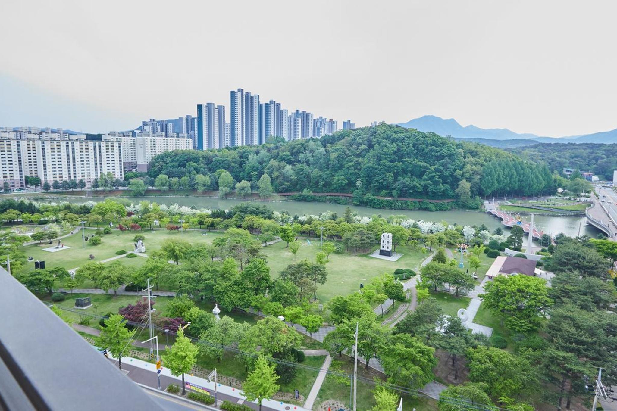 대표 사진