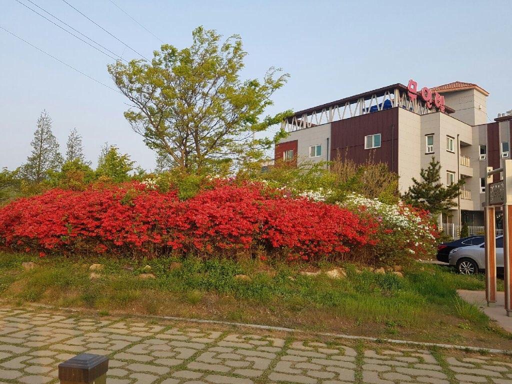 숙소 시설