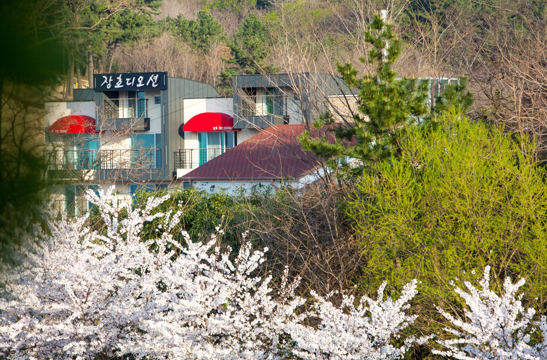 숙소 외관