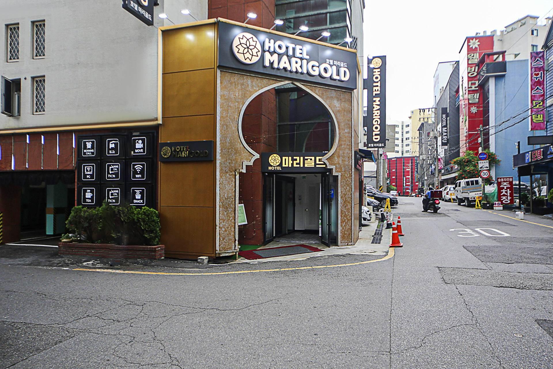 Incheon (Bupyeong) Marigold-12