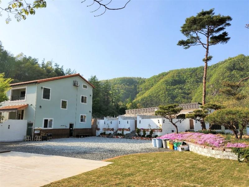 대표 사진
