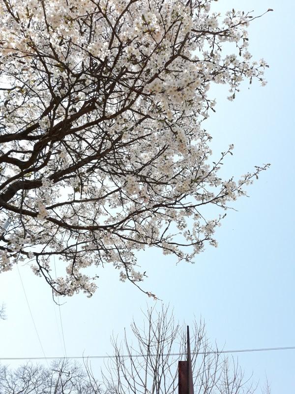 대표 사진