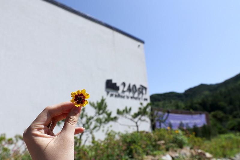 Gapyeong 240st Pool Villa-8